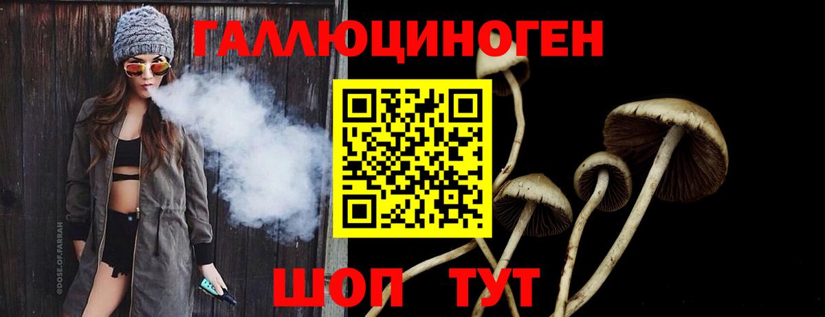 цены   Вход с VPN  Будённовск  Галлюциногенные грибы Cubensis 